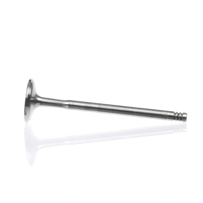 Kuva Imuventtiili, Imupuoli ALFA ROMEO, FIAT, LANCIA OE 55185028