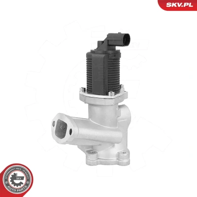Kuva EGR venttiili ESEN SKV 14SKV314