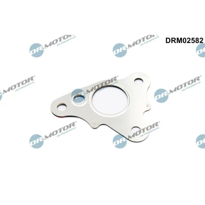 Kuva Tiiviste, EGR venttiilin johdin Dr.Motor Automotive DRM02582