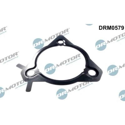 Kuva DR.MOTOR AUTOMOTIVE DRM0579 Tiiviste, Ruiskutuspumppu FORD: Transit Mk5 Bussi
