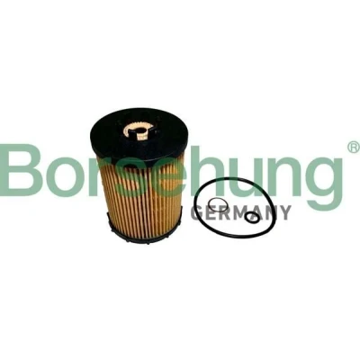 Kuva Borsehung B12456 Öljynsuodatin Suodatinpanos BMW: 5 Touring, Sedan, X5