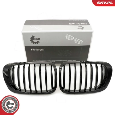 Kuva ESEN SKV 66SKV055 Etusäleikkö Kiiltävä, Musta BMW: 3 Coupe