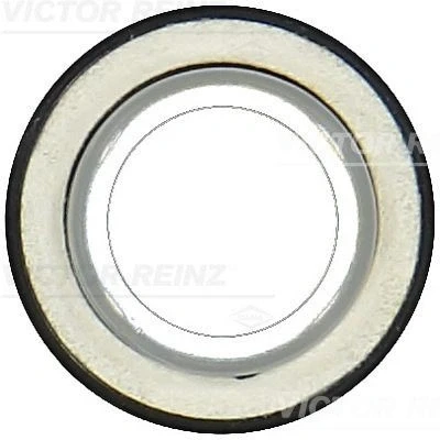 Kuva REINZ 81 10559 00 Kampiakselin Tiiviste asennushylsyllä PTFE (polytetrafluorietyleeni)