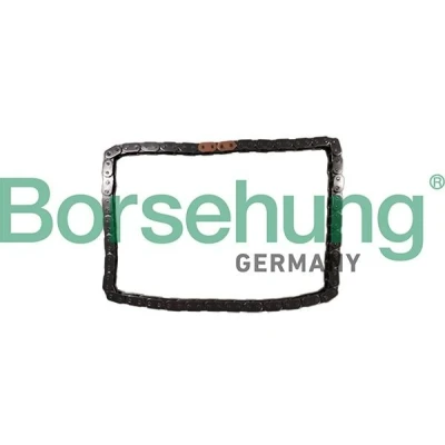 Kuva Borsehung B12784 Jakoketju AUDI: A6 C6 Avant