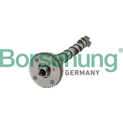 Kuva Nokka akseli, Imupuoli AUDI, VW OE 06L109021C, 06L109021E, 06L109021H