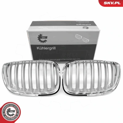 Kuva ESEN SKV 66SKV279 Etusäleikkö kromi BMW: X5