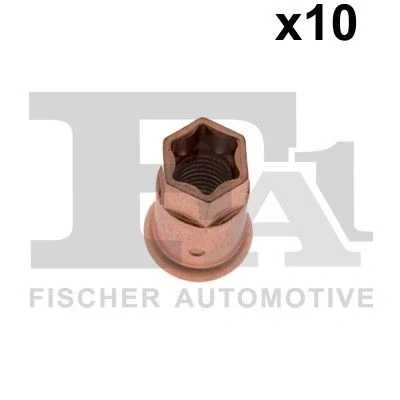 Kuva Mutteri FA1 988 0829.10