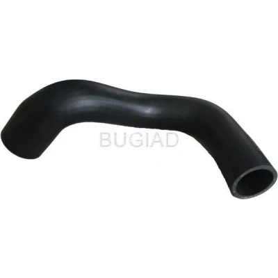 Kuva BUGIAD 88631 Ahdinletku