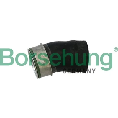 Kuva Borsehung B11982 Ahdinletku VOLKSWAGEN: Golf 5, Passat B6 Variant, Sedan, SKODA: Octavia 2 Combi, II Hatchback