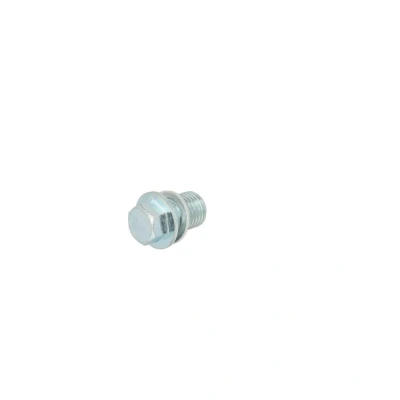 Kuva CORTECO 49362597 Kierretulppa M14 x 1,5 19 Tiivisterenkaalla SUZUKI: SX4 I Hatchback