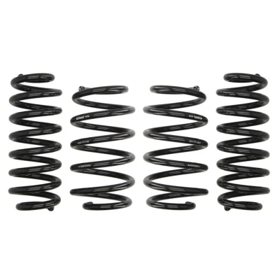 Kuva EIBACH Pro Kit E10 85 016 10 22 Madallusjouset VOLKSWAGEN: Passat B6 Sedan, Variant, B7 Sedan