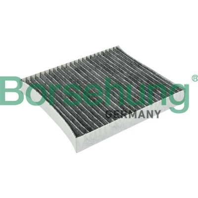 Kuva Borsehung B12797 Raitisilmasuodatin VOLKSWAGEN: Polo V Hatchback, IV SEAT: Ibiza 3, Córdoba II Sedan, AUDI: A2, A1 Hatchback
