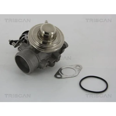 Kuva TRISCAN 8813 29001 EGR Venttiili Pneumaattinen Tiivisteillä VOLKSWAGEN: Golf 4 Variant, 4, Bora Sedan, SEAT: Ibiza 3, Leon I Hatchback