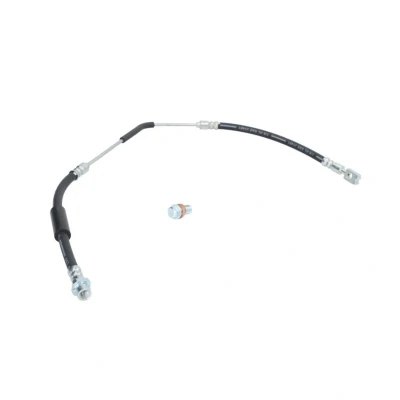 Kuva DELPHI LH7076 Jarruletku Banjo