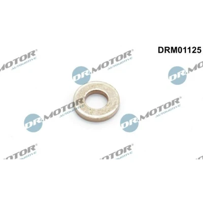 Kuva DR.MOTOR AUTOMOTIVE DRM01125 Tiivisterengas, Ruiskutusventtiili VOLKSWAGEN: Polo V Hatchback