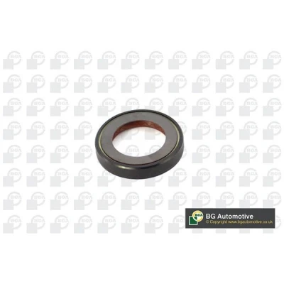 Kuva Akselitiiviste, tasauspyörästö, Poisto ALFA ROMEO, AUDI, CITROËN, FIAT, JAGUAR, LANCIA, PEUGEOT, SUZUKI OE 1608816780, 2264.18, 2362..1