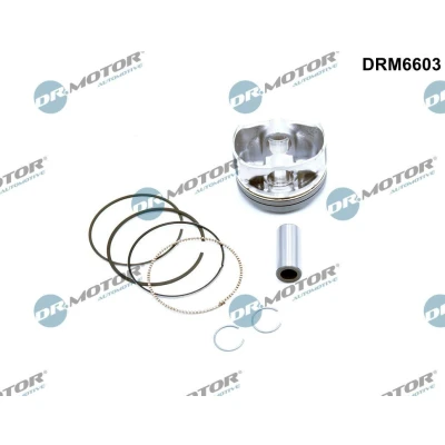 Kuva DR.MOTOR AUTOMOTIVE DRM6603 Mäntä 79 Männänrenkailla FORD: FOCUS 3 Turnier,