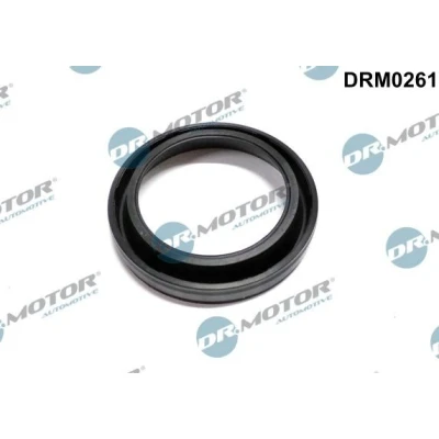 Kuva DR.MOTOR AUTOMOTIVE DRM0261 Tiiviste, Suuttimen Pidin