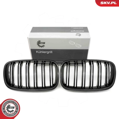 Kuva ESEN SKV 66SKV290 Etusäleikkö Hiili BMW: X5