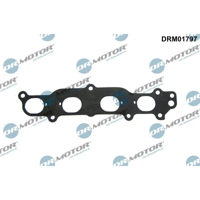 Kuva DR.MOTOR AUTOMOTIVE DRM01797 Imusarjan Tiivisteet