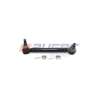 Kuva AUGER 11429 Koiranluu