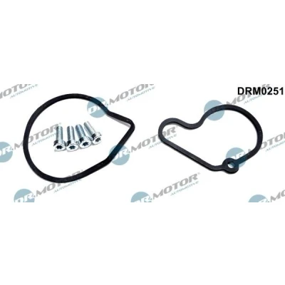Kuva DR.MOTOR AUTOMOTIVE DRM0251 Alipainepumppu korjaussarja
