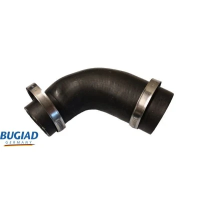 Kuva BUGIAD 82367 Ahdinletku Kuorilla