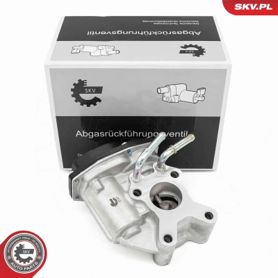 Kuva ESEN SKV 14SKV265 EGR Venttiili NISSAN: NP300 Navara Pick up