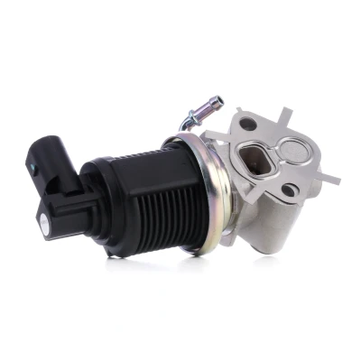 Kuva MAGNETI MARELLI 571822112013 EGR Venttiili VOLKSWAGEN: Golf 4 Variant, 4, Plus / Crossgolf, SEAT: Ibiza 3, Leon I Hatchback