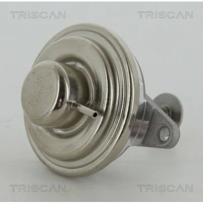 Kuva TRISCAN 8813 24054 EGR Venttiili Pneumaattinen Tiivisteillä OPEL: Vectra B Farmari, Sedan