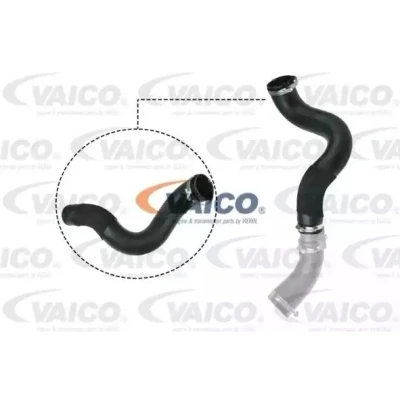 Kuva VAICO V25 1047 Ahdinletku Kumi kudosvahvikkeella Q+, original equipment manufacturer quality FORD: Transit Mk6 Van, Bussi