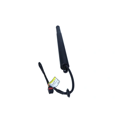 Kuva MAXGEAR 12 2550 Kaasujousi, kuorma alusta (tavaratila)