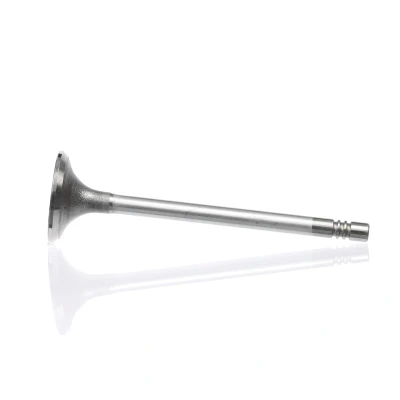Kuva Imuventtiili, Imupuoli OPEL, SAAB, VAUXHALL OE 4805321, 96440147, 96951454