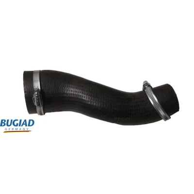 Kuva BUGIAD 82475 Ahdinletku Kuorilla