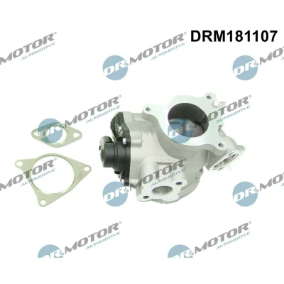 Kuva DR.MOTOR AUTOMOTIVE DRM181107 EGR Venttiili Sähköinen OPEL: Vivaro A Combi, Van, RENAULT: TRAFIC 2 Kasten, Bus, MASTER Bus