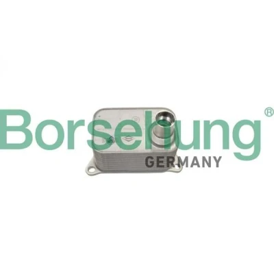 Kuva Borsehung B19085 Öljynjäähdytin VOLKSWAGEN: Transporter 5, Passat B6 Variant, Multivan 5 (7HM, AUDI: A4 B8 Sedan, A6 C7 Avant, A5 Coupe