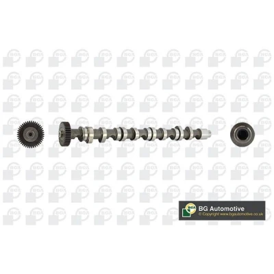 Kuva Nokka akseli, Poisto AUDI, SEAT, SKODA, VW OE 03L109022, 03L109022D