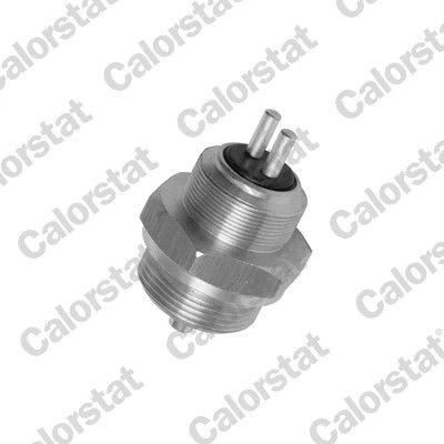 Kuva CALORSTAT by Vernet RS5569 Peruutusvalon Kytkin VOLKSWAGEN: LT 28 46 2 Kasten