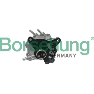 Kuva Borsehung B17906 Alipainepumppu VOLKSWAGEN: Passat B6 Variant, Touran I, Golf 5, AUDI: A6 C6 Avant, Sedan, SKODA: Octavia 2 Combi