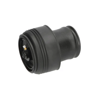 Kuva Ilmajousi, jousitus KAVO PARTS SAS 10002