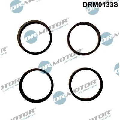 Kuva DR.MOTOR AUTOMOTIVE DRM0133S Tiivistesarja, Imusarja VOLKSWAGEN: GOLF 3