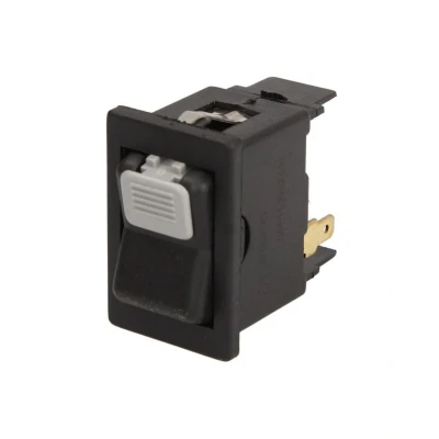 Kuva DT Spare Parts 1.21031 Kytkin