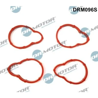 Kuva DR.MOTOR AUTOMOTIVE DRM096S Tiivistesarja, Imusarja