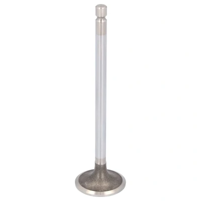 Kuva FEBI BILSTEIN 183423 Imuventtiili 33