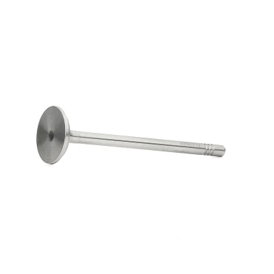 Kuva Pakoventtiili SEAT, SKODA, VW OE 030109611T, 03D109611A, 30109611T