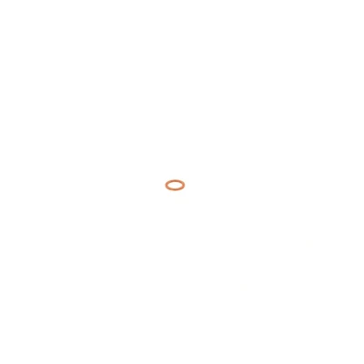 Kuva Korkeapainepumppu BOSCH F 00B C00 126