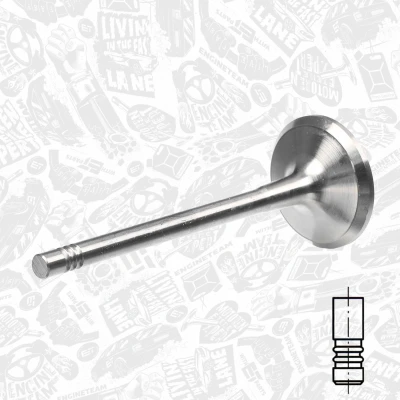 Kuva Pakoventtiili, Poistopuoli AUDI, SEAT, SKODA, VW OE 06B 109 611 C, 06B109611C