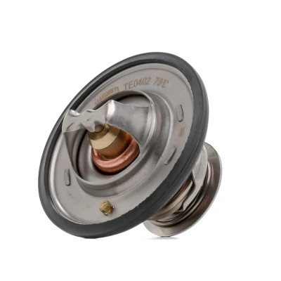 Kuva MAGNETI MARELLI 352317004020 Termostaatti 79 29 Tiivisteillä