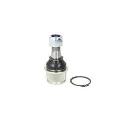 Kuva Pallonivel TEN CAR S048