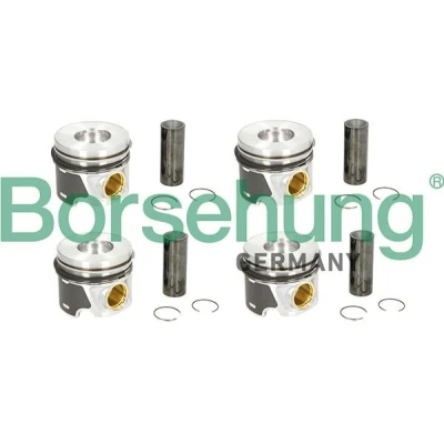 Kuva Borsehung B19303 Männänrenkaat AUDI: A6 C6 Avant, A4 B7 A3 Sportback, VOLKSWAGEN: Golf 5, Jetta 3, Passat B6 Variant, SKODA: Octavia 2 Combi